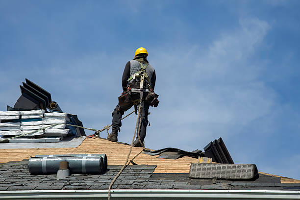 Professional Roofing technician working in Davis, SD